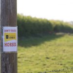 LHL_2020_014c – A sign attached to a telegraph pole near a field says ‘DON’T TOUCH HORSES’ ‘CORONAVIRUS COVID-19’ – in order to warn passers-by not to touch horses in the fields in case of the transmission via touch of the virus. Thumbnail